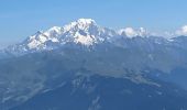 Randonnée Marche Les Avanchers-Valmorel - La pointe du Mottet - Photo 15