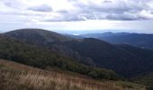 Tocht Stappen Le Valtin - VOSGES 2023 - Sentier des Roches - Photo 7