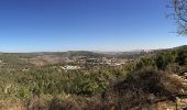 Trail On foot Mate Yehuda Regional Council - ציר המעיינות - Photo 3