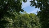 Randonnée A pied Biblis - Rundwanderweg Biblis Steiner Wald 1: Züllenstein-Weg - Photo 2