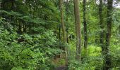 Randonnée Marche Beekdaelen - Schimmert  - Photo 14