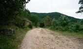 Tour Wandern Barbières - Barbières - Source Barberolle - Photo 20