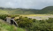 Tour Wandern Fajã Grande - Le tour des lacs de cratère à Flores - Photo 14