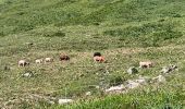 Tour Wandern Orcières - Prapic - saut du laïr / retour  - Photo 12