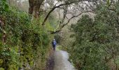 Tocht Stappen Uzès - uzes. bord alzon - Photo 9