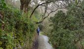 Tour Wandern Uzès - uzes. bord alzon - Photo 9