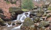 Tour Wandern Spa - 20230313 - Sauveniere 6.5 Km - Photo 5