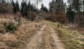 Randonnée Marche Cleurie - cleurie-la charmes-roches du thin-col du singe - Photo 6