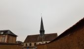 Randonnée Marche Les Authieux-sur-le-Port-Saint-Ouen - 20190105 les Authieux  - Photo 2