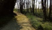 Randonnée A pied Cividale del Friuli - Anello Nord del Natisone - Photo 10