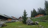 Excursión Senderismo Passy - J10 - R8 - Plaine Joux - Les Ayères - Lac Vert  - Photo 12