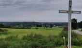 Tour Wandern Beauraing - Honnay 140921 - Photo 1