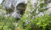 Randonnée Marche Monieux - Gorges de la Nesque - Photo 11