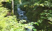 Trail Walking Girmont-Val-d'Ajol - Girmont Val d'Ajol 5,5km  - Photo 1