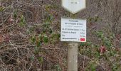 Trail Walking Bouillon - Cornimont 240123 - Photo 5