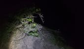 Tocht Trail Deshaies - reconnaissance nocturne fort royal du 26/10/21 - Photo 1