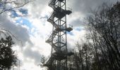 Tour Zu Fuß Rauen - Rundwanderweg Bergbau - Photo 4