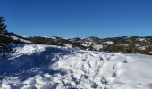 Randonnée Raquettes à neige Gréolières - GREOLIERES - Photo 7