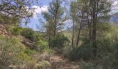 Randonnée Marche Le Revest-les-Eaux - Reconnaissance tracés autour de la Ripelle - A la découverte de nouveaux chemins - Photo 15