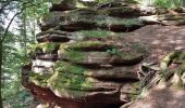 Tour Wandern Langstein - Lac de la Pierre-Percée - château de Salm - grotte des Poilus et l'observatoire - Photo 19