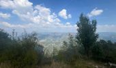 Trail Walking Beaumont-du-Ventoux - Mont serein 30/08/2024 - Photo 3