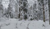 Randonnée Raquettes à neige Châtelblanc - parc polaire petite boucle - Photo 1