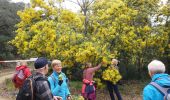 Excursión Senderismo Le Muy - Les jujubiers et le Marri Vallat - Photo 3