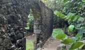 Randonnée Marche Le Lorrain - Boucle Dorival, Crabière, Bon Repos, Man Ti-Fre, Savon - Photo 16