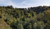 Randonnée Marche Waimes - Barrage de Robert Ville et Château Steinhart - Photo 1