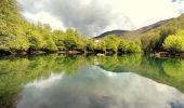 Randonnée Marche Bethmale - Etang de Bethmale - Photo 10