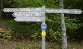 Excursión A pie Unknown - Havtornsuddslingan - Photo 7