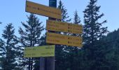 Trail Walking Les Adrets - LA CIME DE LA JASSE PAR LE GROS CAILLOU ET RETOUR PAR LE REFUGE D'AIGUEBELLE - Photo 10