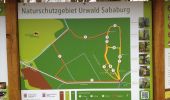Trail On foot Gutsbezirk Reinhardswald - Rundweg Urwald Sababurg rot - Photo 9