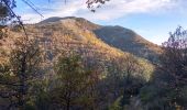 Tocht Stappen Saint-Vallier-de-Thiey - Face Sud de la montagne de Thiey - Photo 5