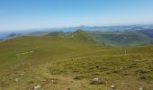 Tocht Stappen Mont-Dore - 2020-06-23 09:24:51 Jour - Photo 7