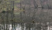 Tour Wandern Watermael-Boitsfort - Watermaal-Bosvoorde - promenade matinale a boisfort - Photo 11