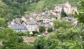 Randonnée Marche Gorges du Tarn Causses - Sainte enfiliez - Photo 2