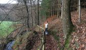 Trail Walking Eupen - Wanderung langhetal  - Photo 1