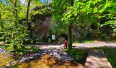 Tour Wandern Bièvre - Promenade de la Roche Mouselle - Petit-Fays - Photo 20