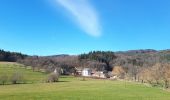 Trail Walking Eguisheim - marbach osenburh schauenberg marbach - Photo 1