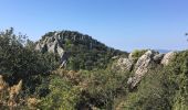 Trail Walking Hyères - Fête de la randonnée Hyères (circuit 2 -Variante) - Photo 1