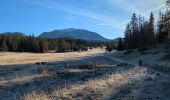 Trail Walking Saint-Agnan-en-Vercors - Grand Veymont depuis la Coche en A/R - Photo 4