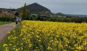 Tour Wandern Châtelet - Marche éphémères Ecureuil - Photo 1