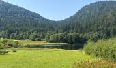 Trail Walking Le Valtin - Chalet Hôtel Le Collet  - Photo 10