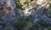 Tour Wandern Auriol - Ste Baume - Auriol :  Les trois ravins  - Photo 4