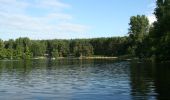 Tour Zu Fuß Feldberger Seenlandschaft - Krüseliner Rundweg - Photo 6