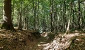Trail Walking Anthisnes - Tavier  - Photo 2