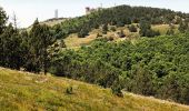 Tour Wandern Val-d'Aigoual - 4000 marches-14-06-22 - Photo 7