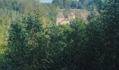 Tocht Stappen Waimes - CANI-RADO TOUR (boucle, château de reinhardstein à waimes) - Photo 5