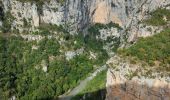 Trail Walking La Palud-sur-Verdon - Sentier Blanc Martel - Photo 17